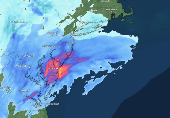 Screenshot 2026-02-22 192820